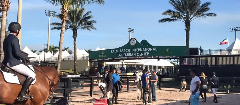 Após morte de cavalos por suspeita de salmonela, EUA fecham temporariamente quarentena em Miami