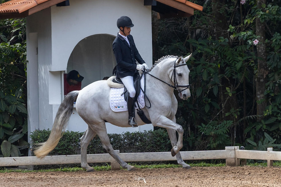 DOMÍNIO DO CAVALO LUSITANO NO INTERNACIONAL DE CAVALOS NOVOS