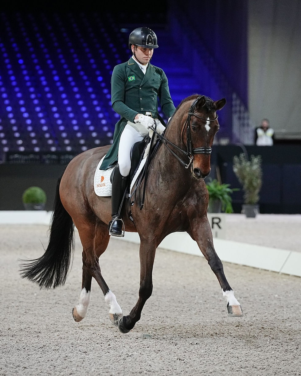 João Victor Marcari Oliva fecha o time e pela primeira vez em quatro participações em Mundiais não monta um Lusitano, mas o garanhão warmblood Feel Good V.O NRW, de criação e propriedade de José Victor Oliva, Coudelaria Ilha Verde.