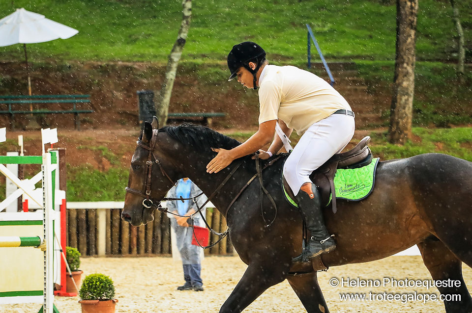 Ranking_SHC-1146
