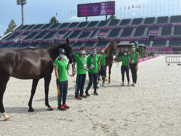 Cavalos do Time Brasil Paraequestre aprovados na inspeção veterinária em 25/8 (Divulgação CBH - acervo particular)