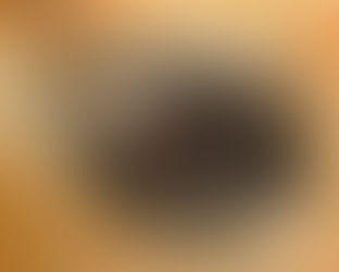 Tratamento de anemia associada à hemoparasitose em equinos