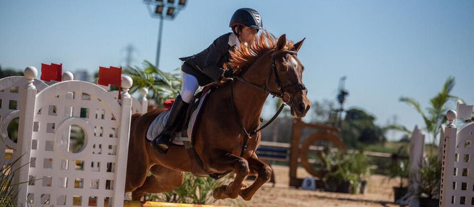 Campeonato Paulista de Hipismo segue este final de semana com promessas do esporte