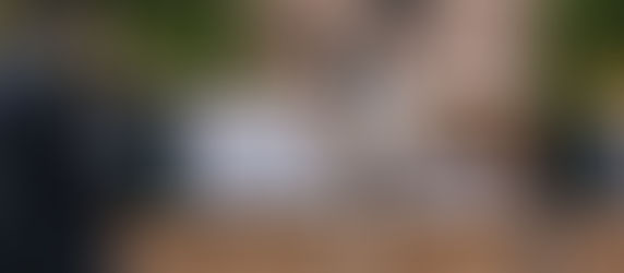 Campeões das provas de Halter na 39ª Nacional do Cavalo Árabe