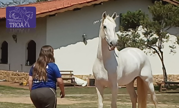 Por que montar cavalos?