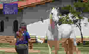 Por que montar cavalos?