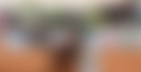 Pará mostra a força do estado nos Três Tambores