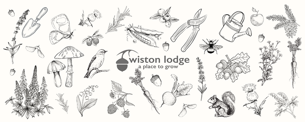 Garden Design 1 6.png