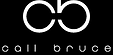 Call Bruce Logo.png