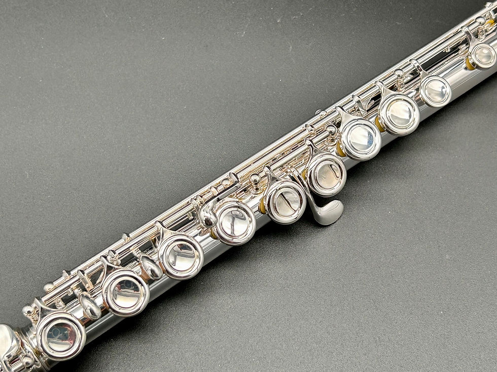 Thumbnail: Like NEW Powell Flute Sonare PS-101