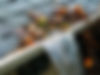 Gutter Overflow.jpg