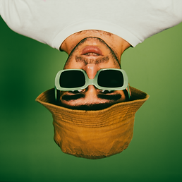 Sam Seluj Upside Down.png