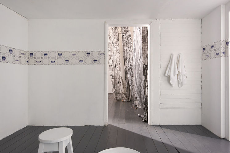 cleansing installation