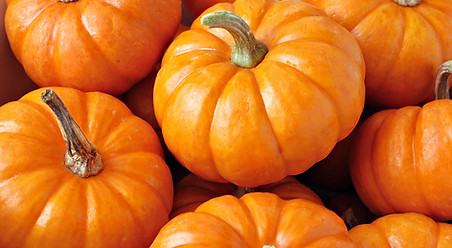 Seasonal Pumpkins