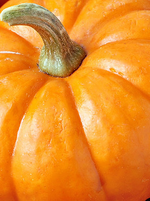 Seasonal Pumpkins