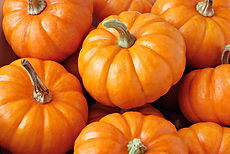 Seasonal Pumpkins