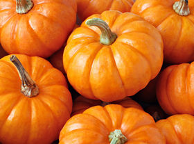 Seasonal Pumpkins