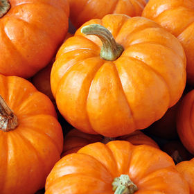 Seasonal Pumpkins