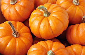 citrouilles saisonniers