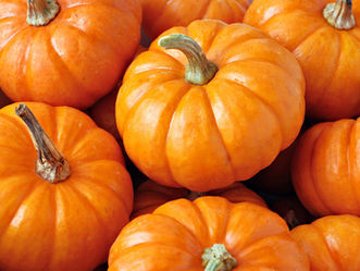 It's pumpkin time!