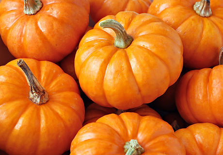Seasonal Pumpkins