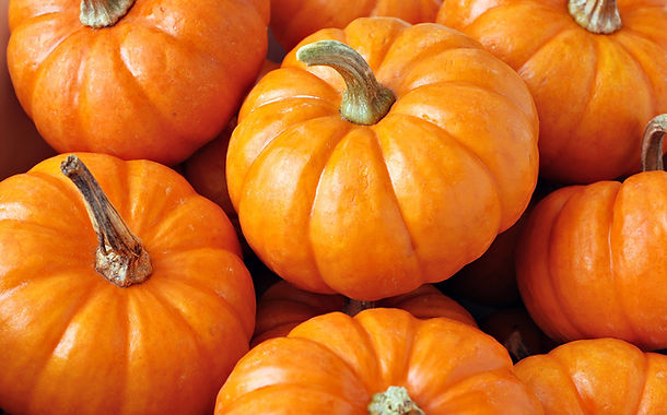 Dosed Pumpkin Chocolate Bars