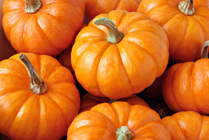 Pumpkin Everything