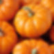 Seasonal Pumpkins