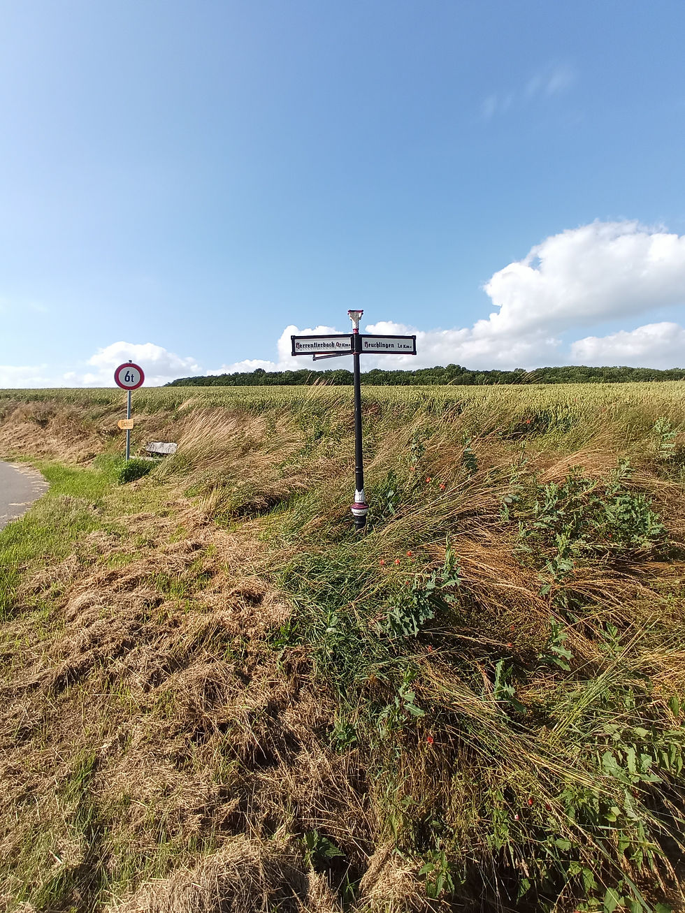 IMG_20210702_172147_252