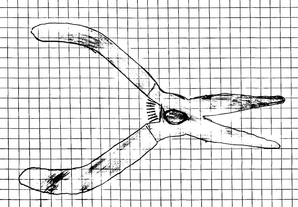 Scan Image 2015-01-17 09-04-56.jpg