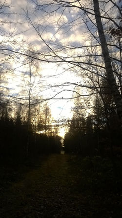 WP_20151207_08_50_22_Pro