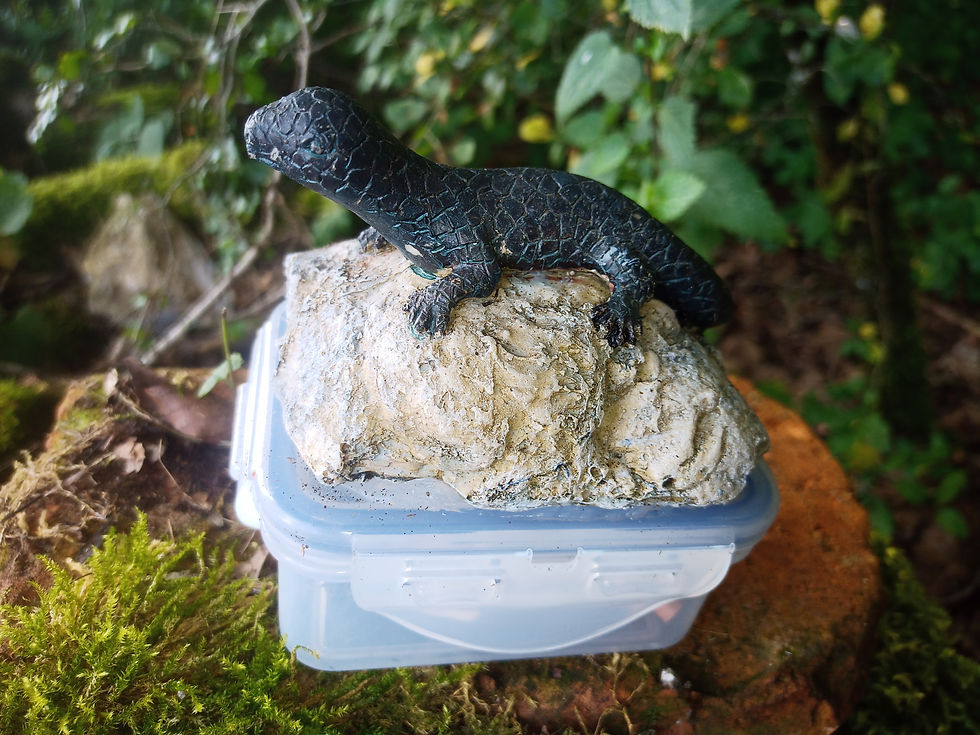 IMG_20210813_133931_562