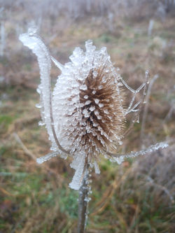 IMG_20220127_154457_059