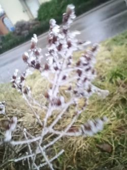 IMG_20220127_154535_188