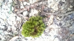 WP_20151207_08_55_58_Pro