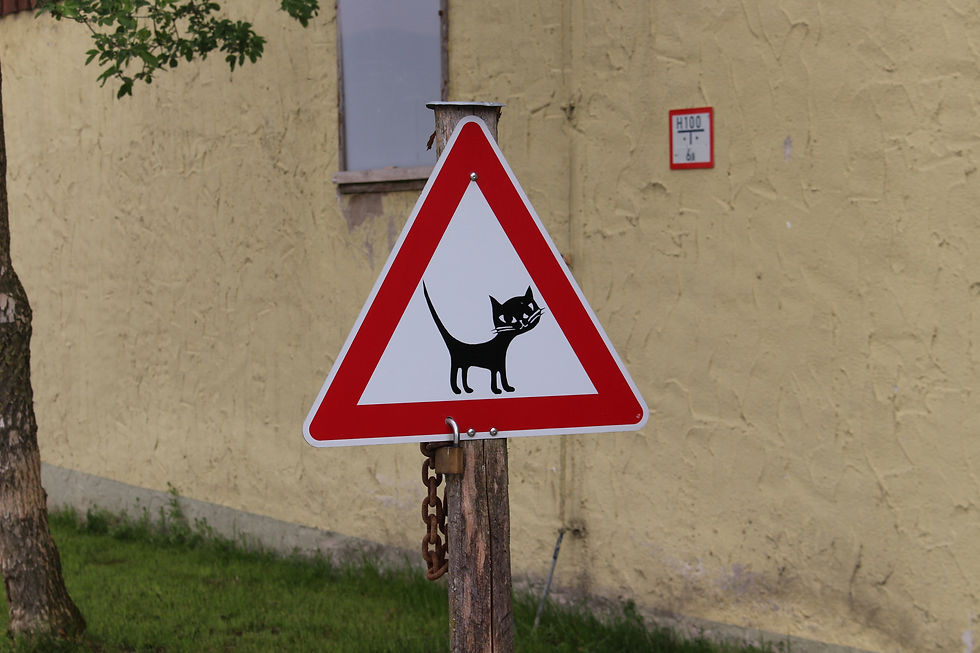 2015-05-02 13.48.12-1.jpg