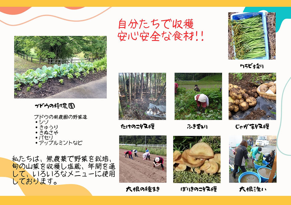 自分たちで収穫.jpg