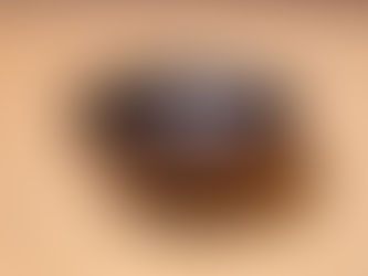 木工の児玉正和さんの椀を買ってきました。