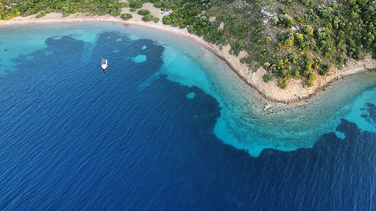 dji_fly_20240610_200210_518_1718039050375_photo_optimized.JPG