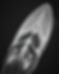 image (50).png