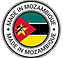 LOGOAFRICA.png