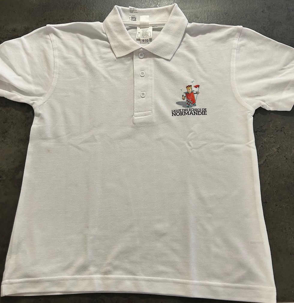 Miniature : POLO LIGUE (tarif spécial 10 ans)