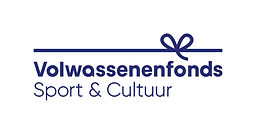 VF-logo-new-horizontaal-blauw-CMYK.jpg