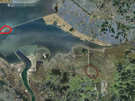 2024 신경제신문 칼럼