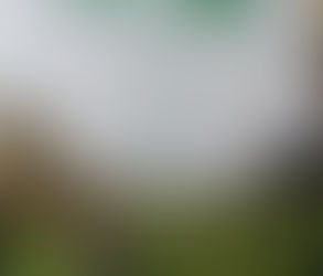 도시를 매력적으로 만드는 것은...