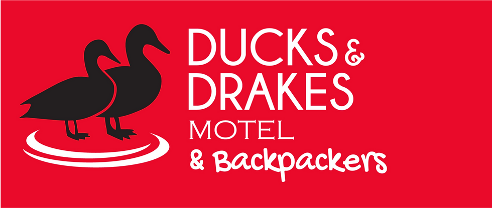 ducks and drakes logo