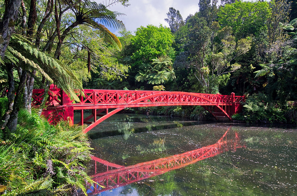 Pukekura Park