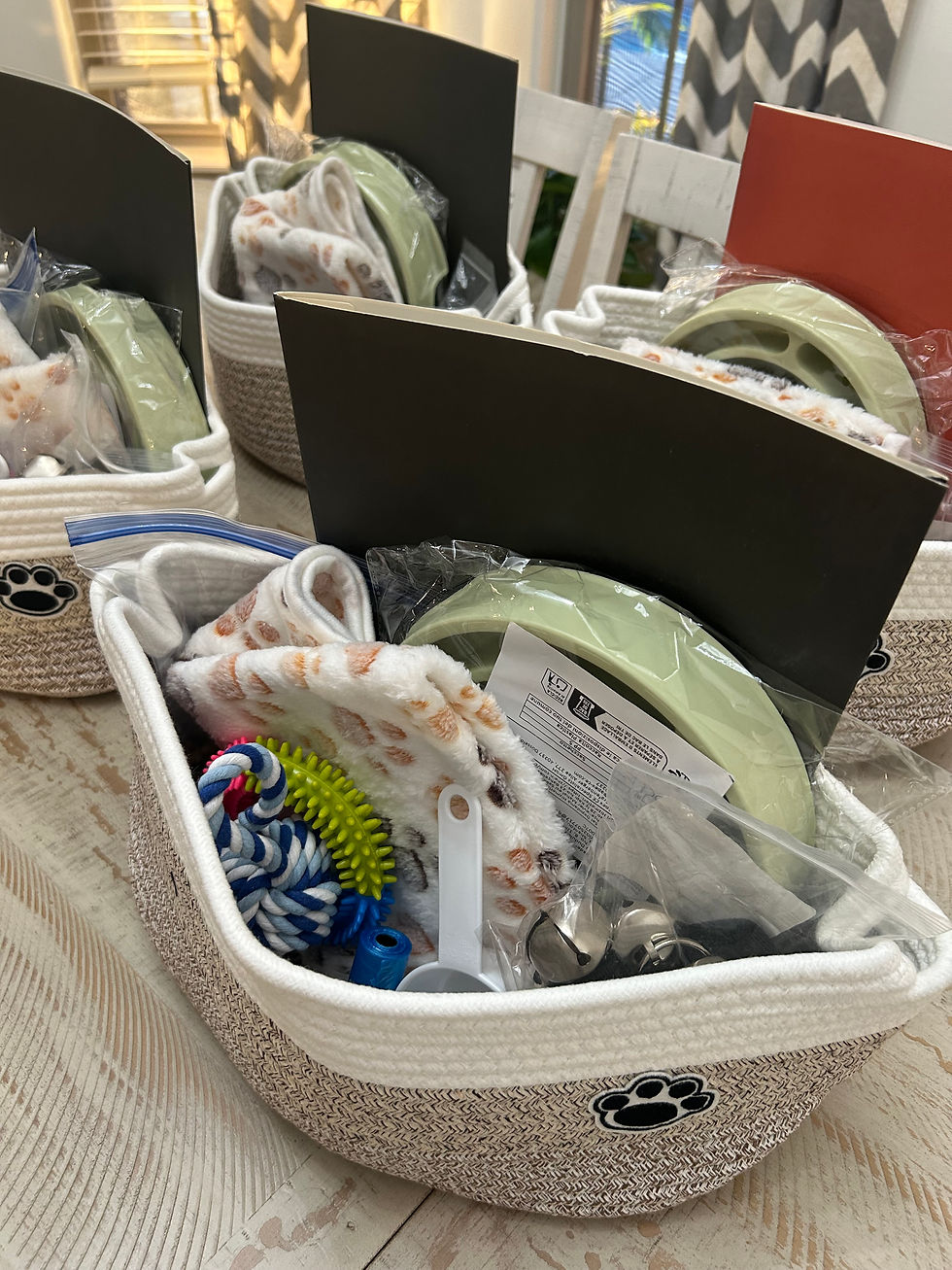 French Bulldog puppy go-home baskets prepared by Salty Paw's Frenchies in Northwest Arkansas
