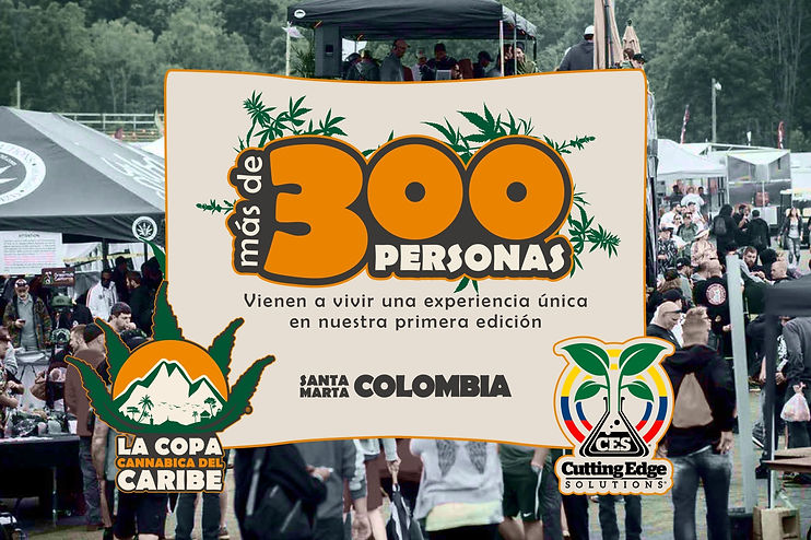 presentacion CCC (1) 6.jpg