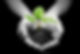 PastedGraphic-1.jpeg